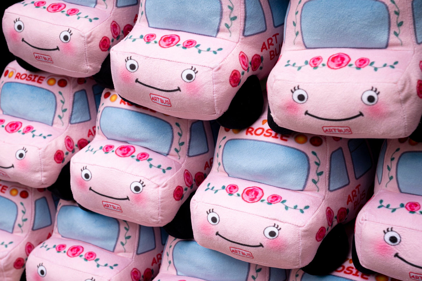 Picture Book plus Rosie Plush Doll