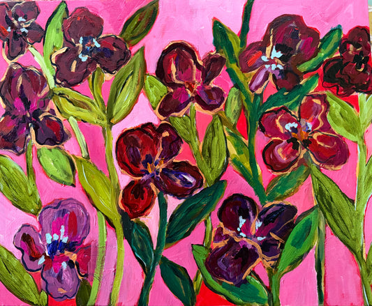 Sunset Iris